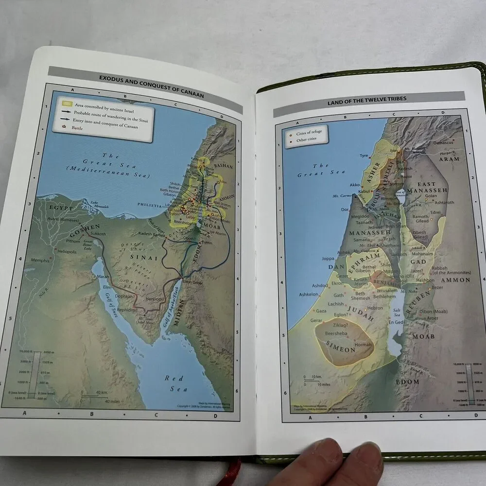 Zondervan NIV Thinline Bible Italian Two Tone Green Leather Geometric Design - Picture 10 of 13